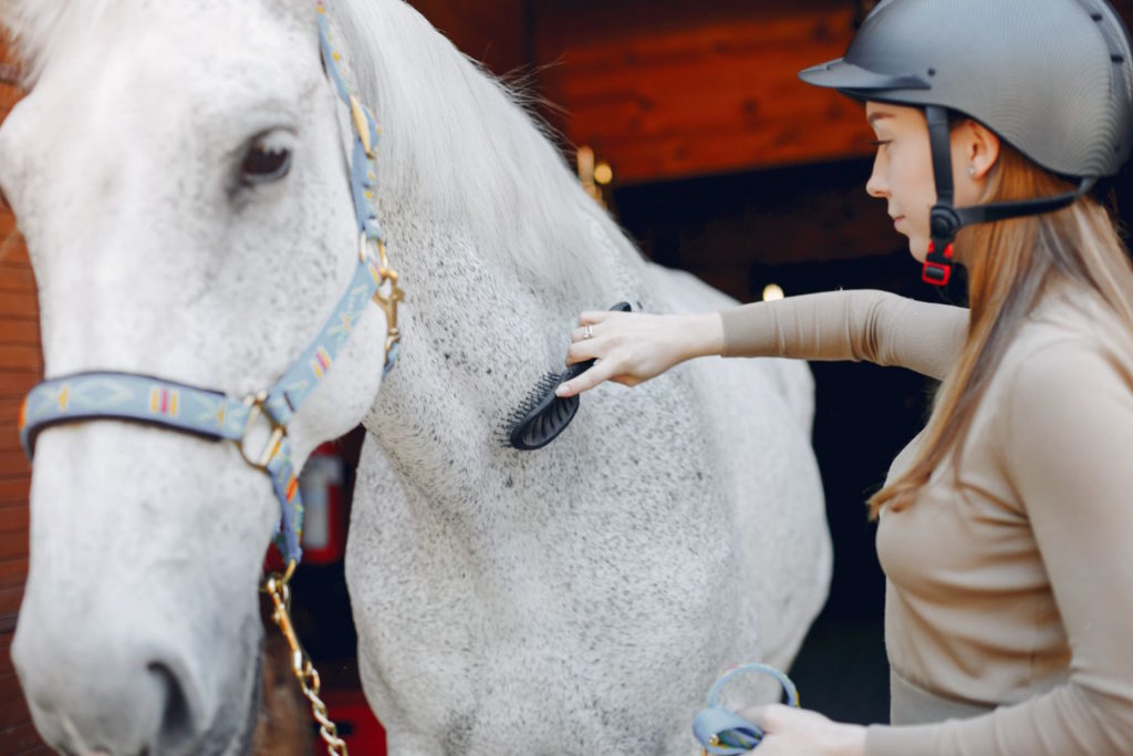 Każdy właściciel konia wie, jak ważne jest zapewnienie mu odpowiedniej opieki i ochrony