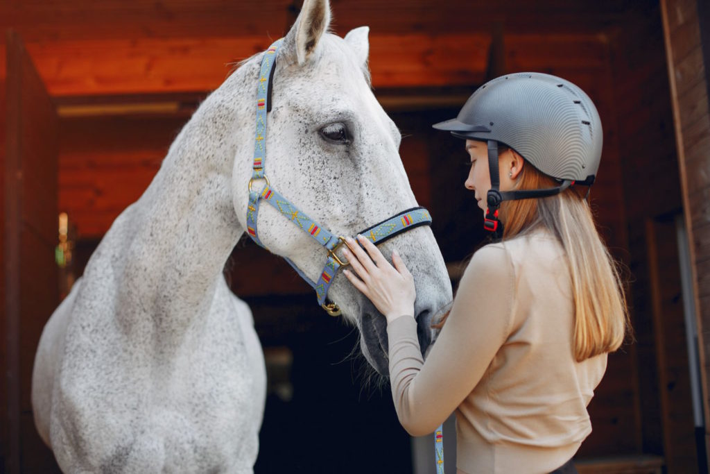 Każdy właściciel konia wie, jak ważne jest zapewnienie mu odpowiedniej opieki i ochrony